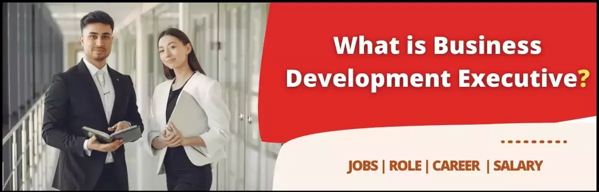 Business Development Executive: Job, Role, Skills, Pros & Cons, Salary.