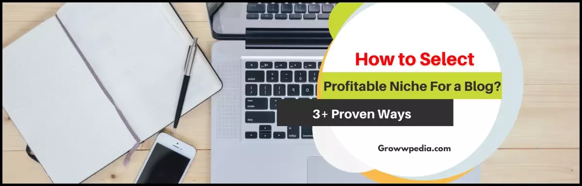 Profitable Niche for a Blog? (3+ Proven ways to Select).
